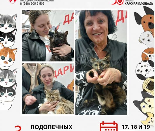 Спешим поделиться итогами выставки в Мегацентре 